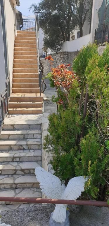 Апартаменты Apartment Mirjana Котор-36